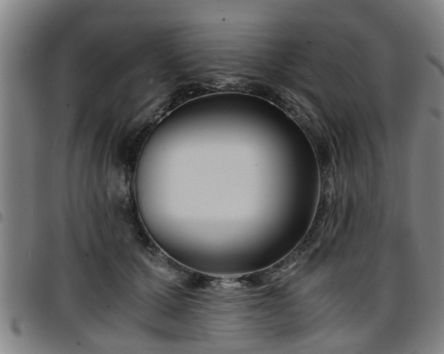 X0000096380607200801311301