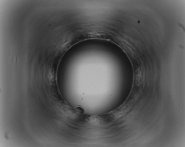 X0000096380608200801311301