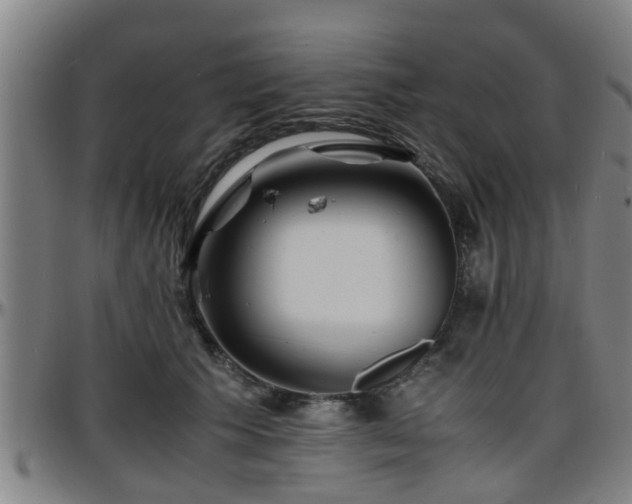 X0000096380609200801311301