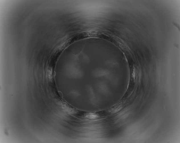 X0000096380610200801311301