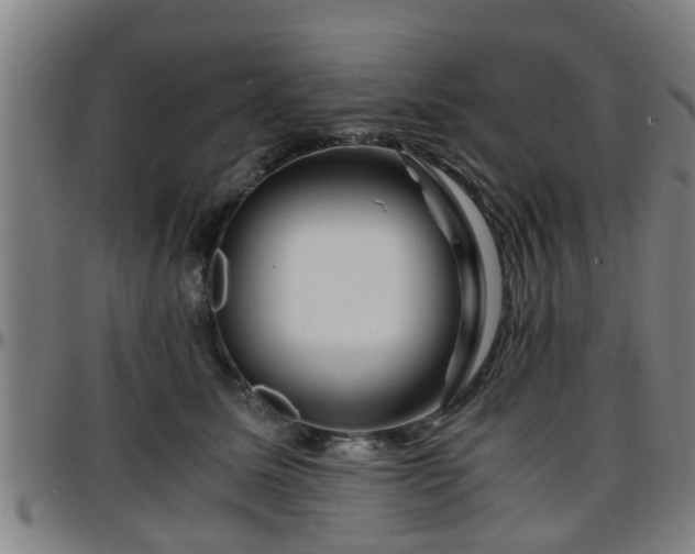 X0000096380611200801311301