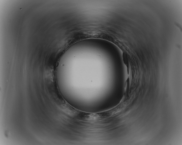 X0000096380612200801311301