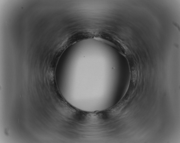 X0000096380613200801311301