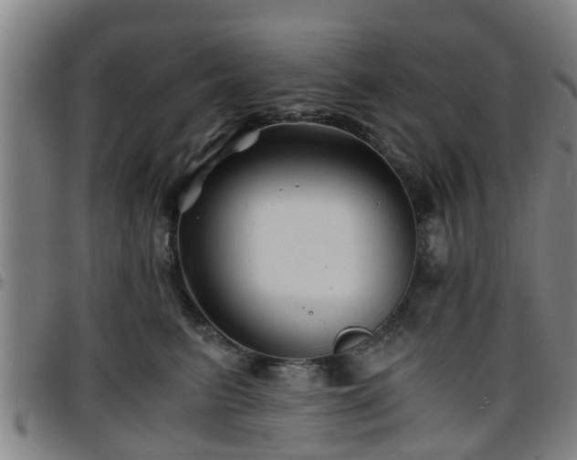 X0000096380615200801311300