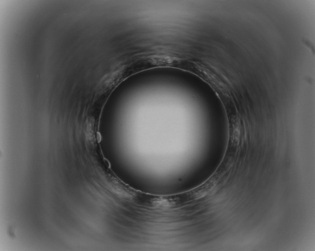 X0000096380616200801311300