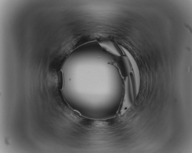 X0000096380617200801311300