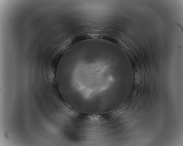 X0000096380618200801311300