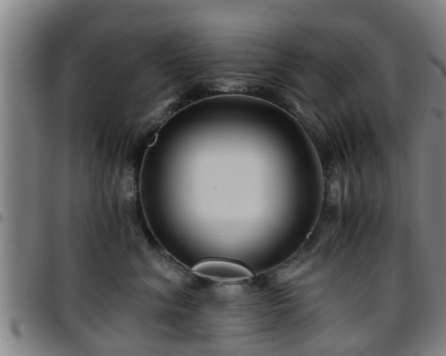 X0000096380620200801311300
