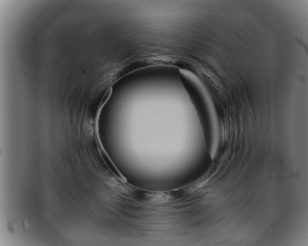 X0000096380621200801311300