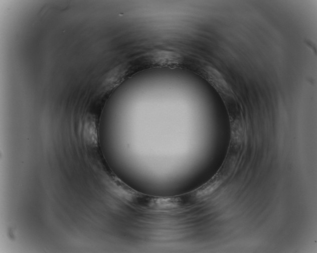 X0000096380622200801311300