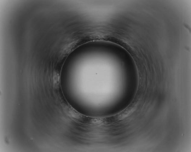 X0000096380624200801311300