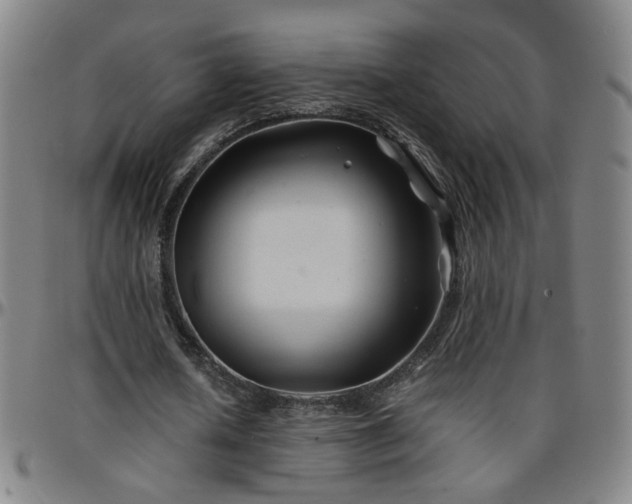 X0000096380626200801311300