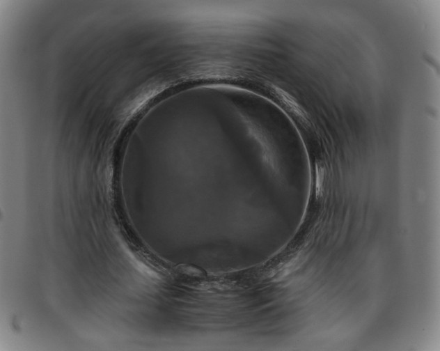 X0000096380627200801311300