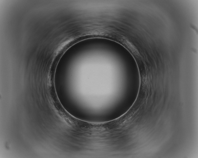 X0000096380628200801311300