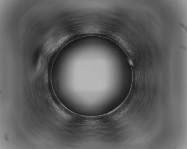 X0000096380629200801311300
