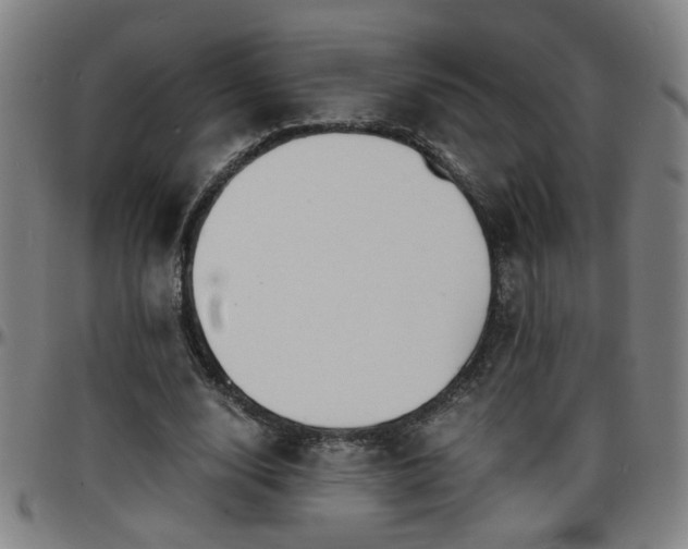 X0000096380632200801311300