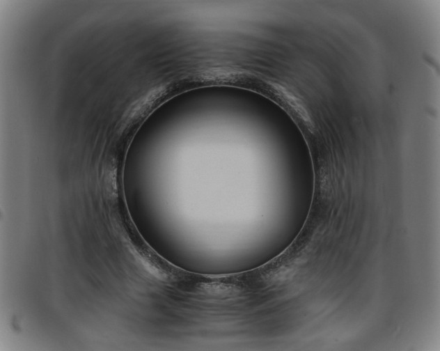 X0000096380633200801311300