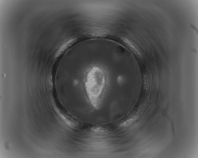 X0000096380634200801311300