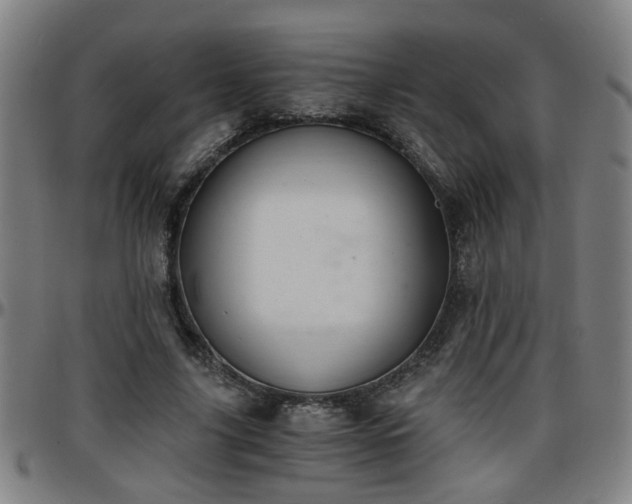 X0000096380635200801311300