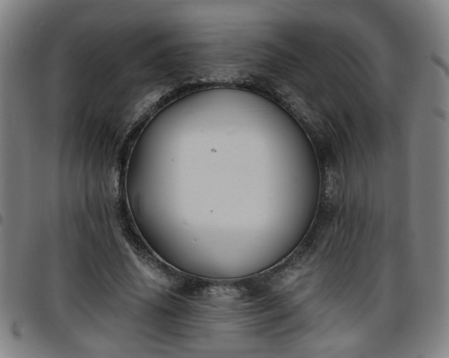 X0000096380636200801311300