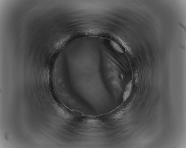 X0000096380637200801311300