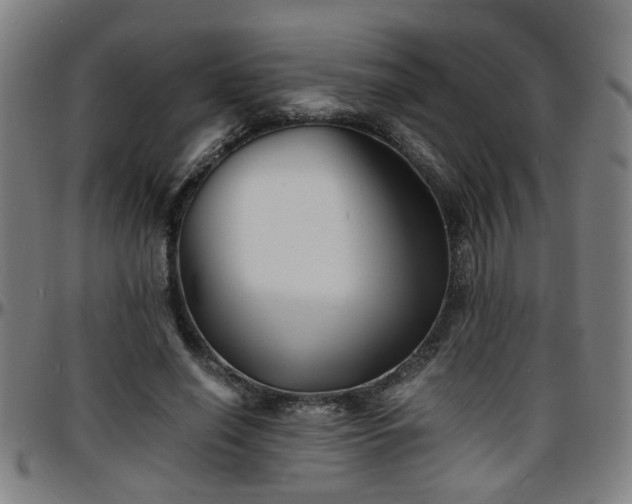 X0000096380638200801311300