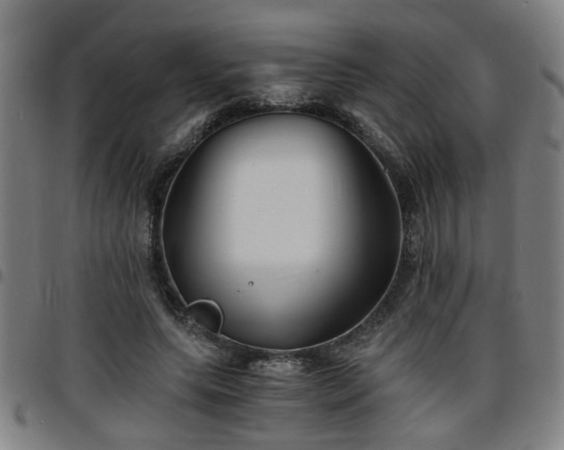X0000096380639200801311300