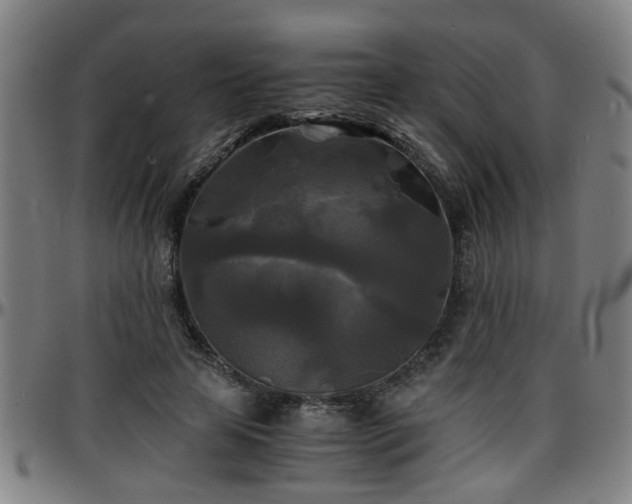 X0000096380641200801311300
