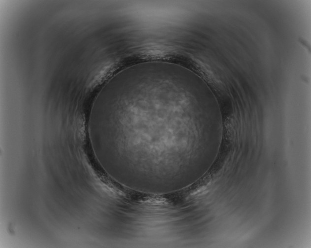 X0000096380642200801311300