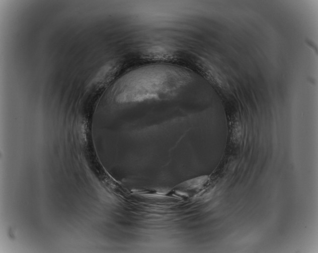 X0000096380643200801311300