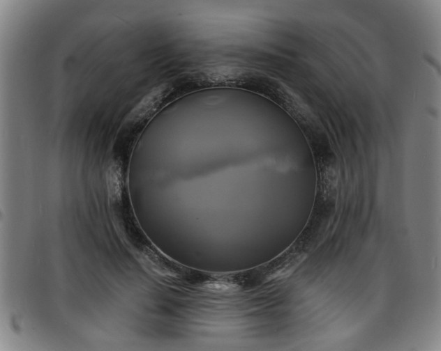 X0000096380644200801311300
