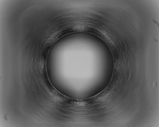 X0000096380645200801311300
