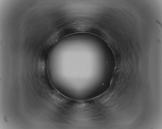 X0000096380646200801311300
