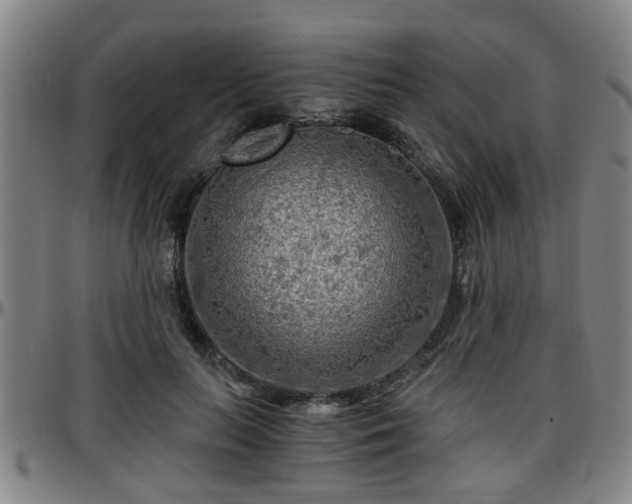 X0000096380647200801311300