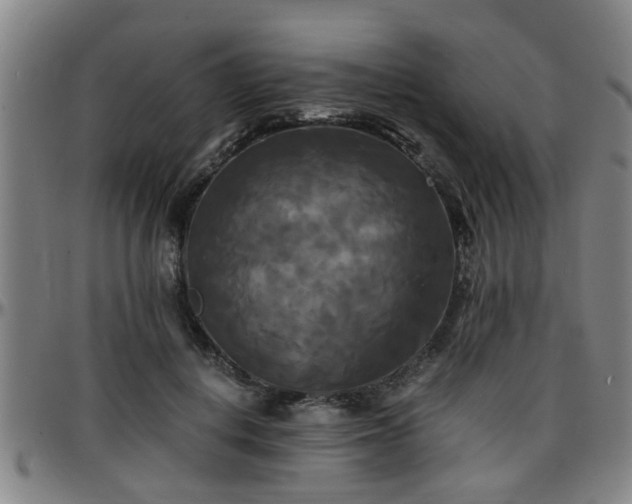 X0000096380648200801311300
