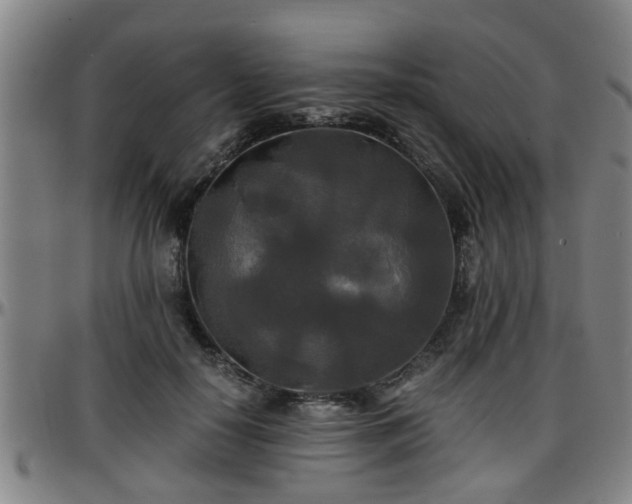 X0000096380650200801311300