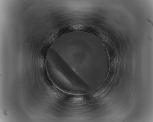 X0000096380651200801311300