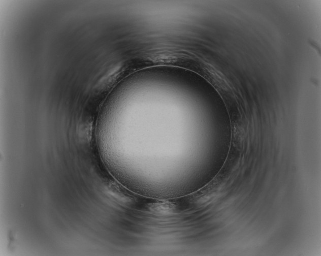 X0000096380652200801311300