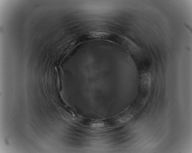 X0000096380653200801311300