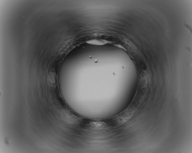 X0000096380654200801311300