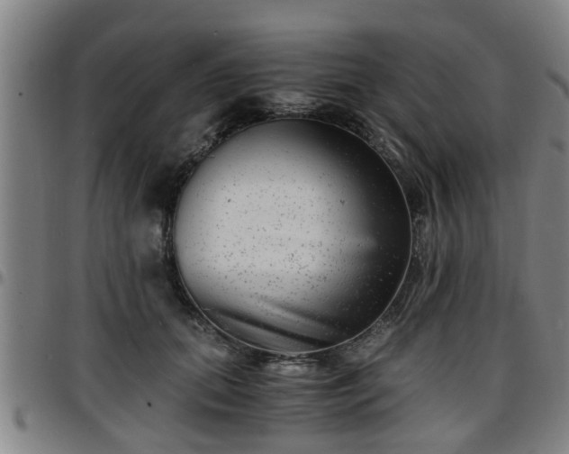 X0000096380655200801311300