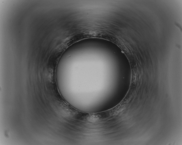 X0000096380656200801311300