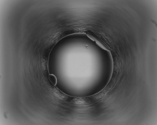 X0000096380658200801311300