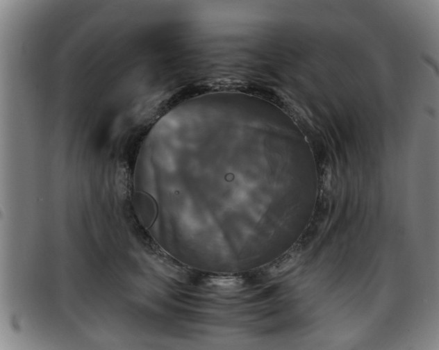 X0000096380659200801311300