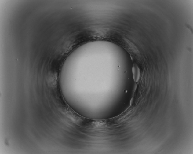 X0000096380660200801311300