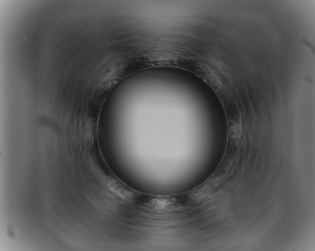 X0000096380662200801311300