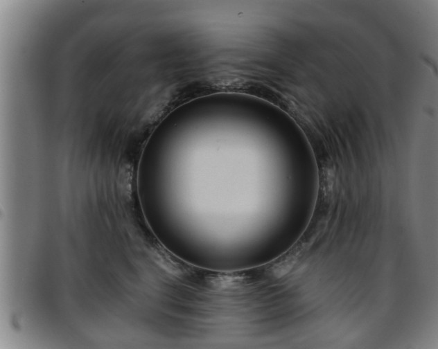X0000096380664200801311300