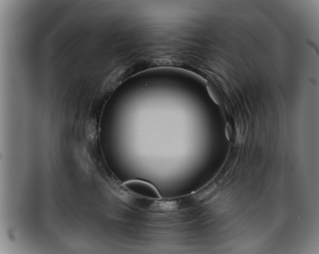 X0000096380665200801311300