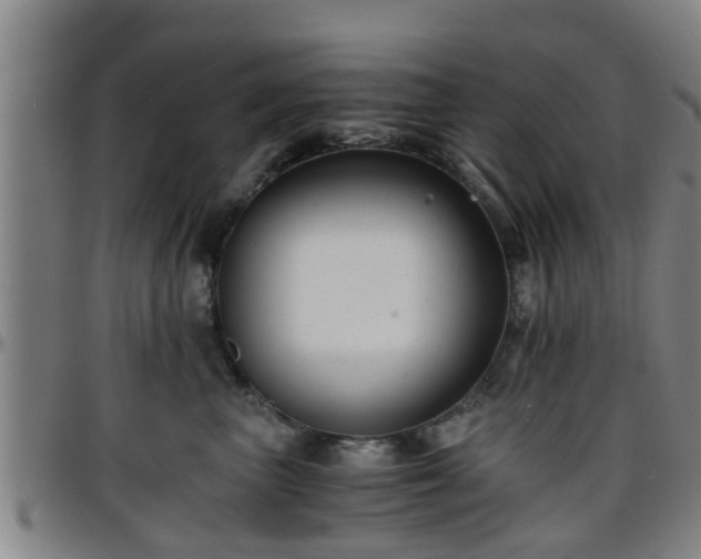 X0000096380667200801311300