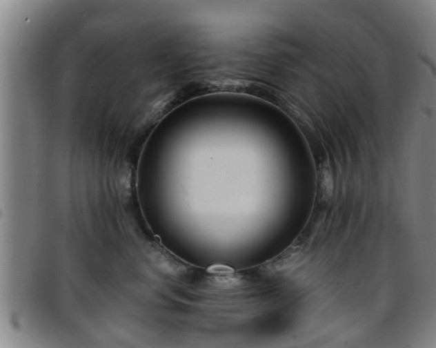 X0000096380668200801311300